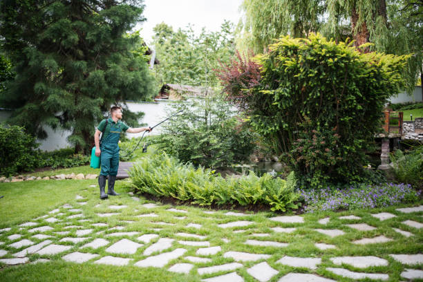 Best Mosquito Control Services  in Fifth Ward, LA