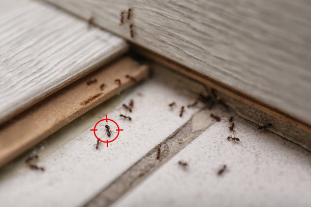 Pest Control Cost in Fifth Ward, LA