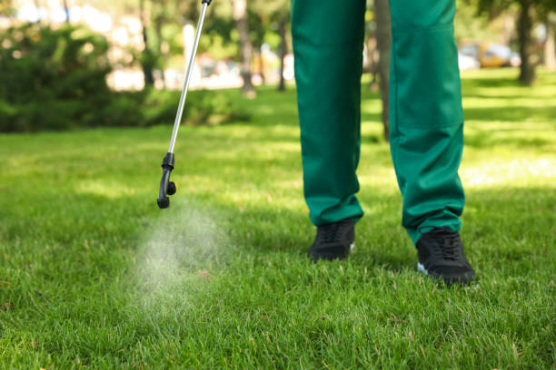 Best Residential Pest Control  in Fifth Ward, LA