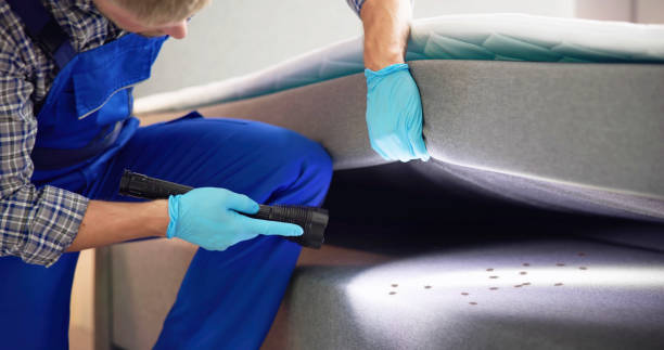 Best Mosquito Control Services  in Fifth Ward, LA