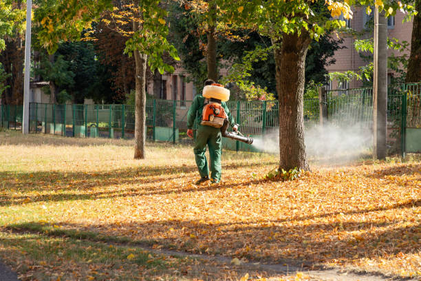 Best Pest Control for Homes  in Fifth Ward, LA