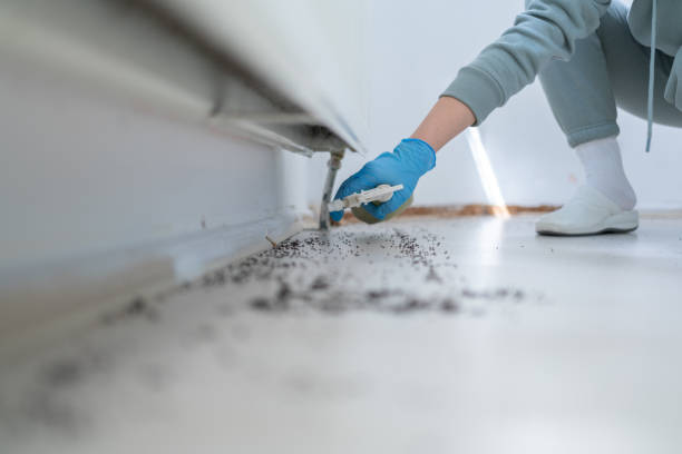 Best Best Pest Control Companies  in Fifth Ward, LA