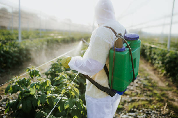 Best Pest Control Near Me  in Fifth Ward, LA